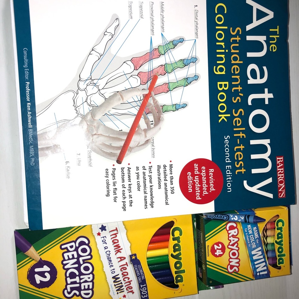 Anatomy study guide & coloring book!